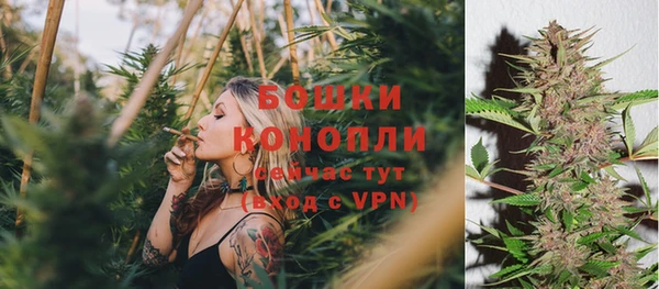 гашик Белокуриха