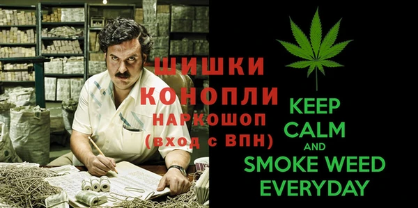 гашик Белокуриха