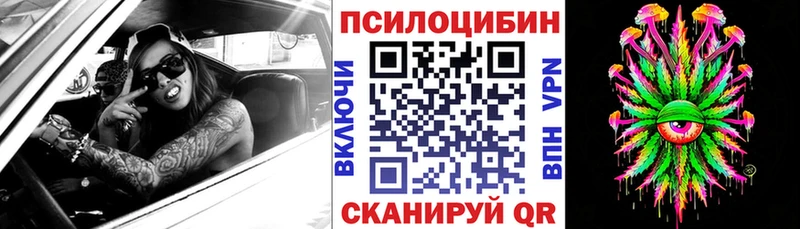 Купить где  Светогорск  Галлюциногенные грибы мицелий 